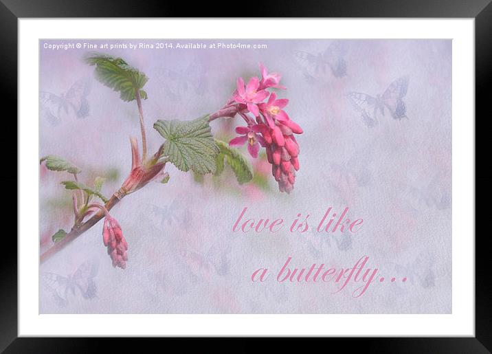 Love is like a butterfly Framed Mounted Print by Fine art by Rina