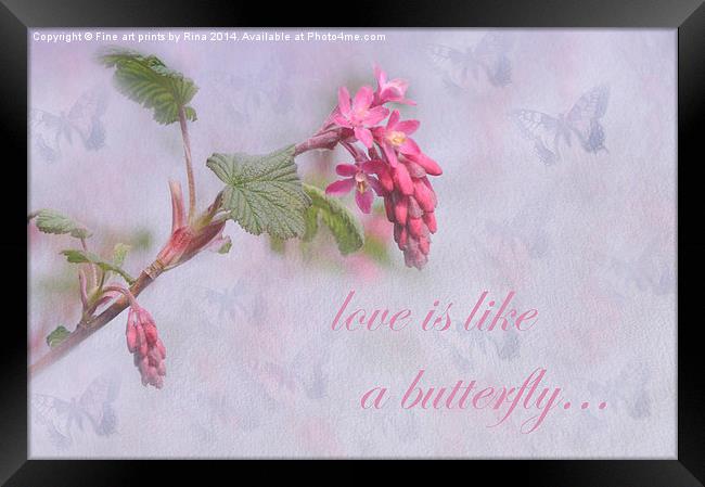Love is like a butterfly Framed Print by Fine art by Rina