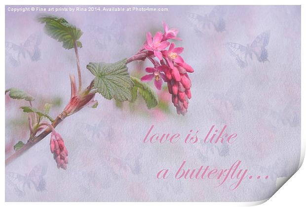 Love is like a butterfly Print by Fine art by Rina