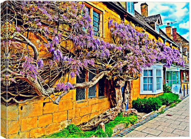 Wisteria Blooms in Broadway Canvas Print by Jason Williams