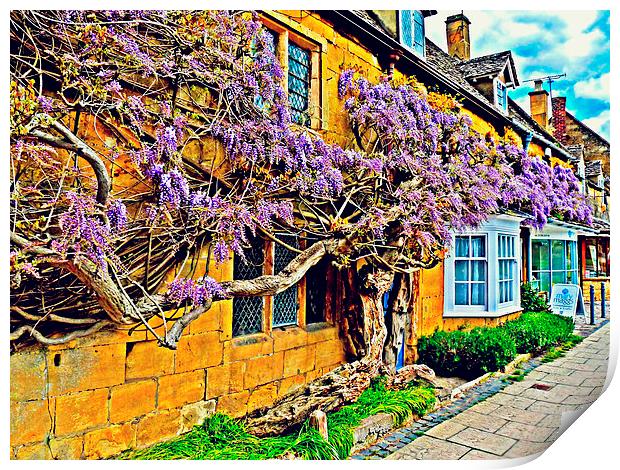 Wisteria Blooms in Broadway Print by Jason Williams