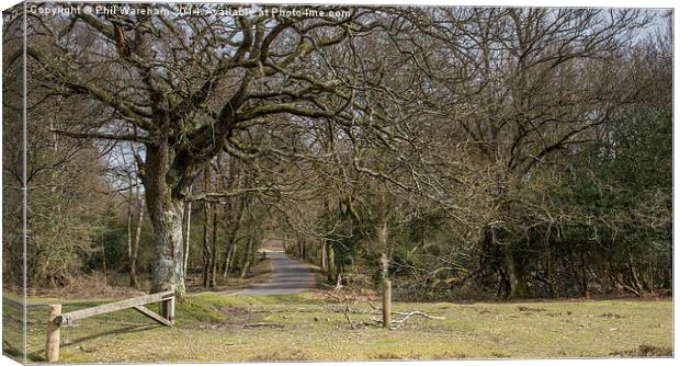 Way through the woods Canvas Print by Phil Wareham