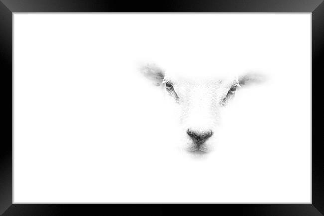 White Out Framed Print by Simon Alesbrook