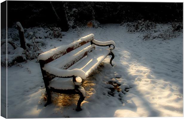 Bench in the Snow Canvas Print by Ann Garrett