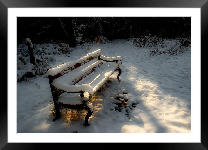 Bench in the Snow Framed Mounted Print by Ann Garrett