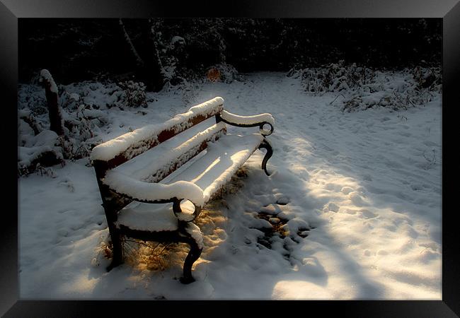 Bench in the Snow Framed Print by Ann Garrett