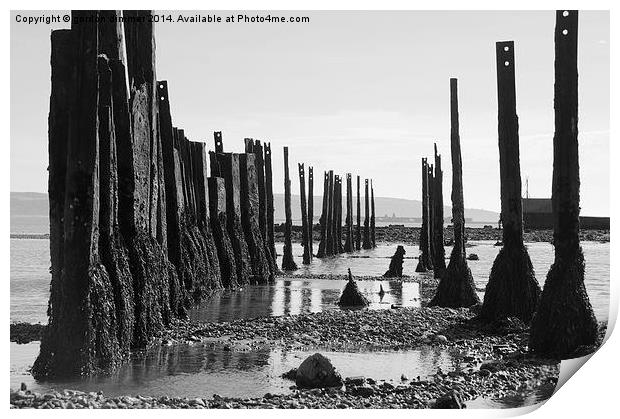 Salt Works, Pennington Marsh, Hampshire Print by Gordon Dimmer