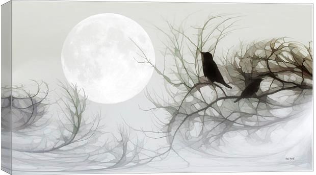 JACKDAWS IN THE MOONLIGHT Canvas Print by Tom York