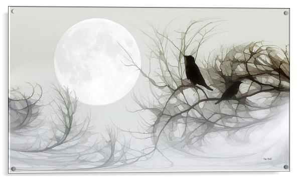 JACKDAWS IN THE MOONLIGHT Acrylic by Tom York