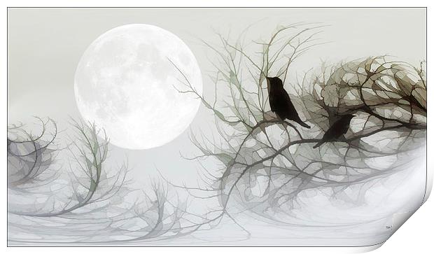 JACKDAWS IN THE MOONLIGHT Print by Tom York