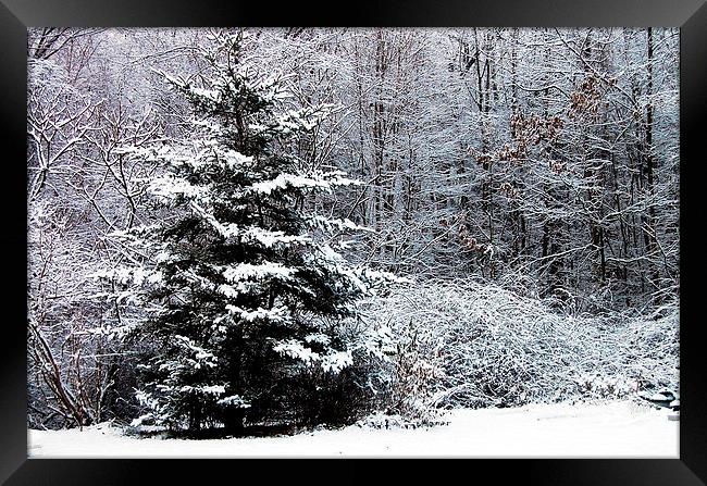 Snowscene 2 Framed Print by james balzano, jr.