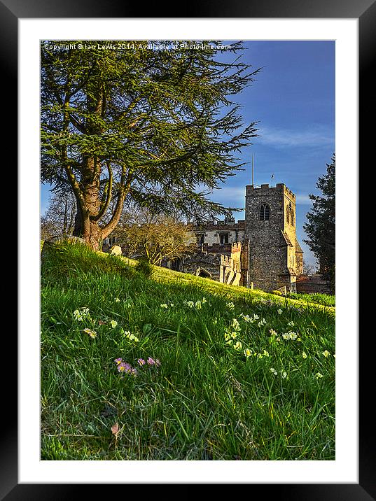 Ewelme Church and Primroses Framed Mounted Print by Ian Lewis