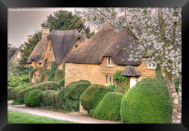 Oxfordshire Thatch at Great Tew Framed Print by David Birchall