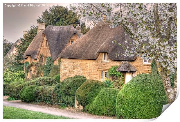 Oxfordshire Thatch at Great Tew Print by David Birchall