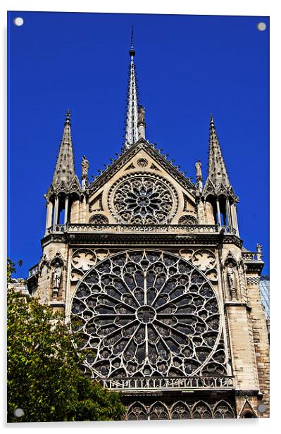Notre-Dame, Paris Acrylic by Joyce Storey
