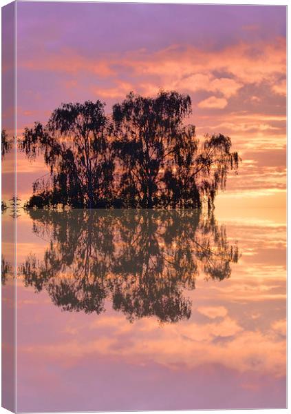 Reflections of sunset Canvas Print by Robert Gipson