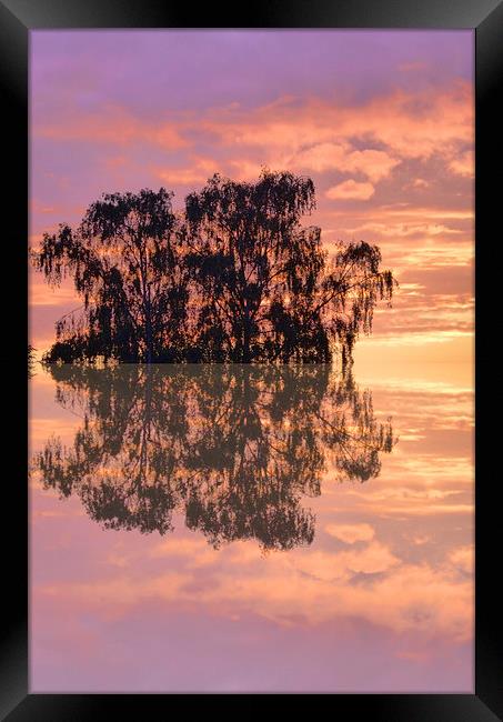 Reflections of sunset Framed Print by Robert Gipson