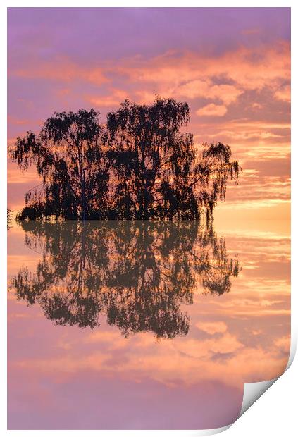 Reflections of sunset Print by Robert Gipson