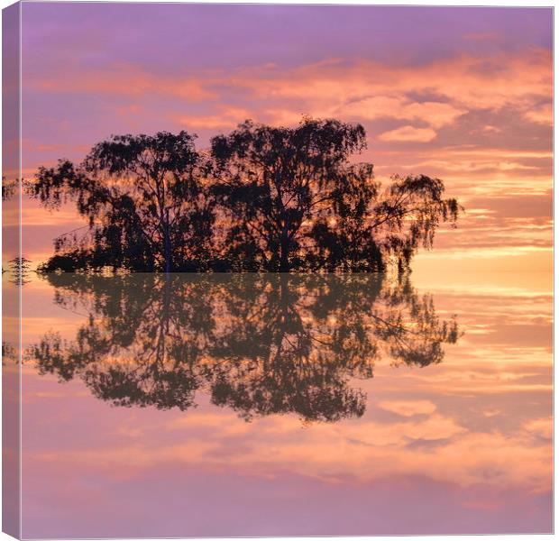 Sunset reflections in the square Canvas Print by Robert Gipson