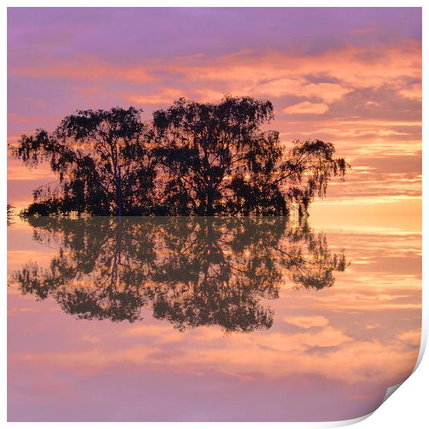 Sunset reflections in the square Print by Robert Gipson