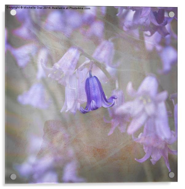 Perfect Bluebell Acrylic by Michelle Orai