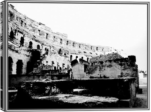 Colosseum from the ground. Canvas Print by Mark Franklin