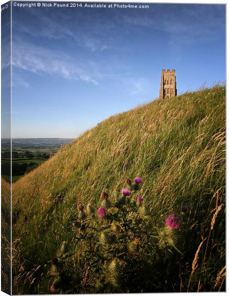 Glastonbury Tor and a Thistle Canvas Print by Nick Pound