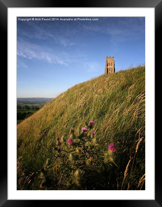Glastonbury Tor and a Thistle Framed Mounted Print by Nick Pound