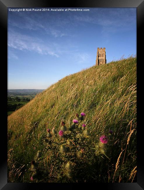 Glastonbury Tor and a Thistle Framed Print by Nick Pound