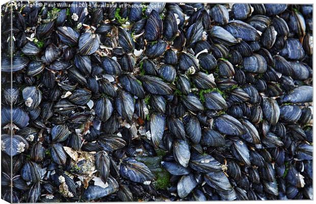 Mussels Canvas Print by Paul Williams