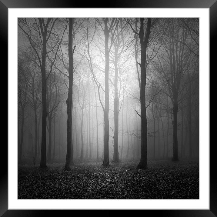 Woodland In The Fog Framed Mounted Print by Ian Barber