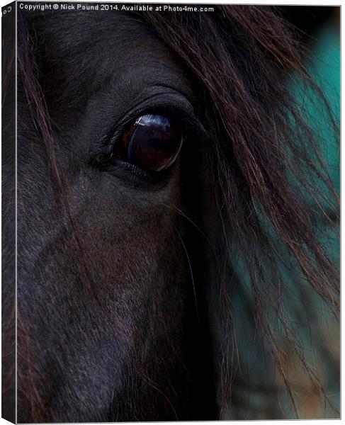 Fell Pony Eye Canvas Print by Nick Pound