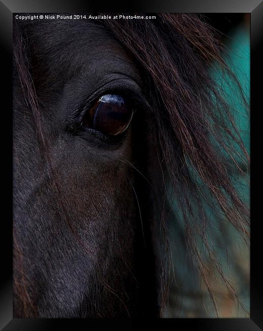 Fell Pony Eye Framed Print by Nick Pound