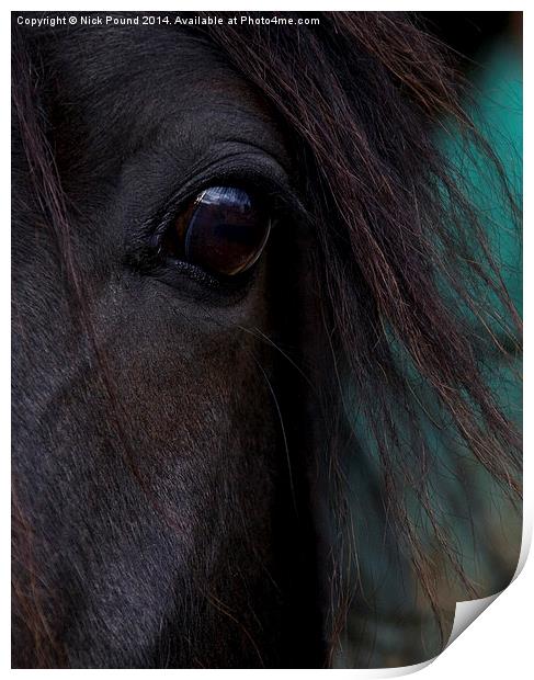 Fell Pony Eye Print by Nick Pound