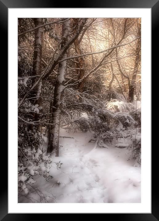 Footsteps in the Snow Framed Mounted Print by Ann Garrett