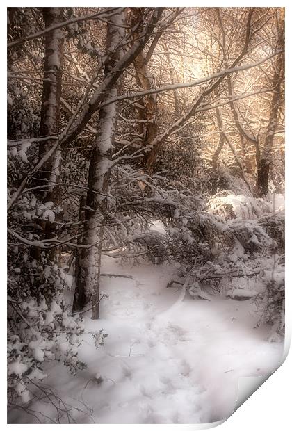 Footsteps in the Snow Print by Ann Garrett