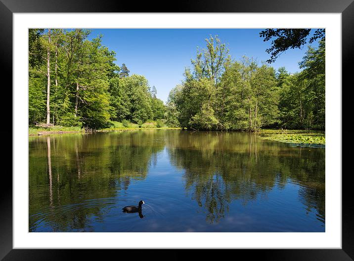 Water reflection blue and green Framed Mounted Print by Matthias Hauser