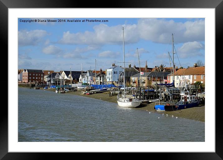 Wivenhoe Framed Mounted Print by Diana Mower