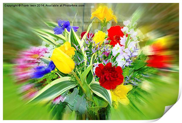 Beautiful and colourful flowers Print by Frank Irwin