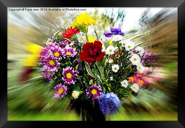 Beautiful and colourful flowers Framed Print by Frank Irwin