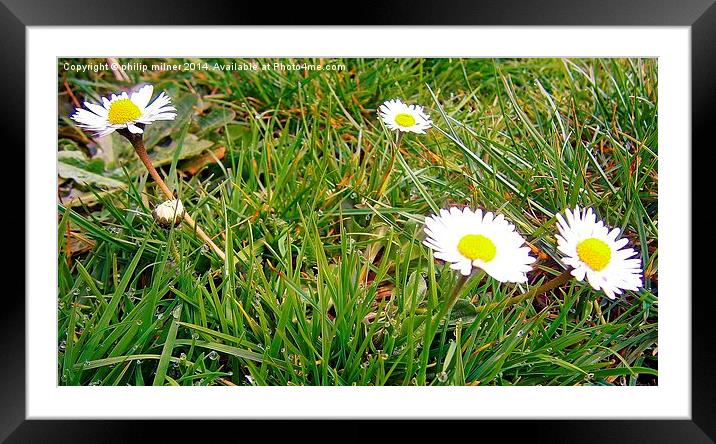 Its Spring Again Framed Mounted Print by philip milner