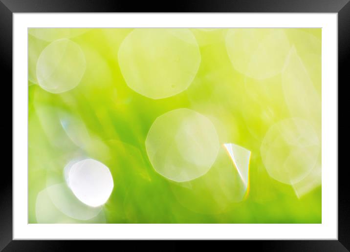 Green Abstract - Dewdrops in the Sunlit Grass Framed Mounted Print by Natalie Kinnear