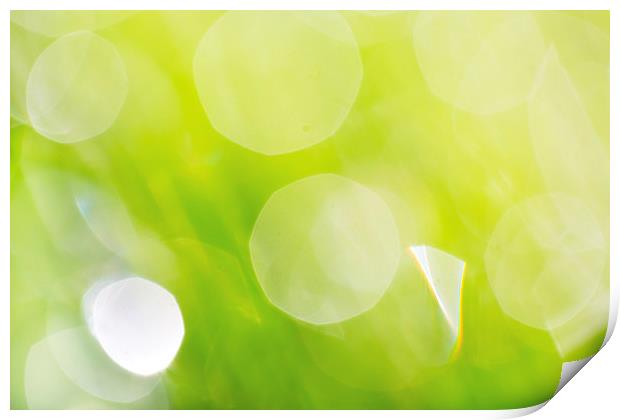 Green Abstract - Dewdrops in the Sunlit Grass Print by Natalie Kinnear