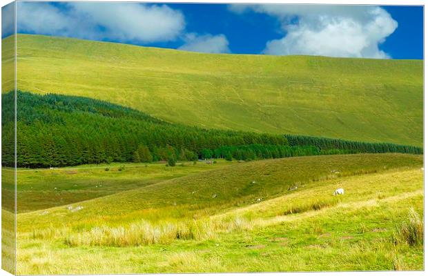 Brecon Beacons National Park Canvas Print by Gisela Scheffbuch