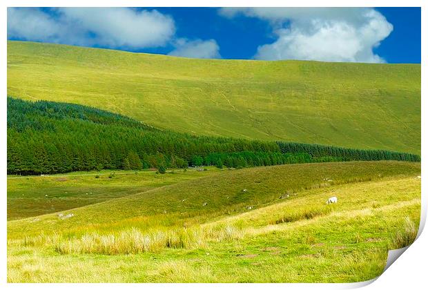 Brecon Beacons National Park Print by Gisela Scheffbuch