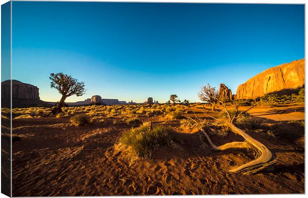 Monument Valley branch Canvas Print by Rob Hawkins