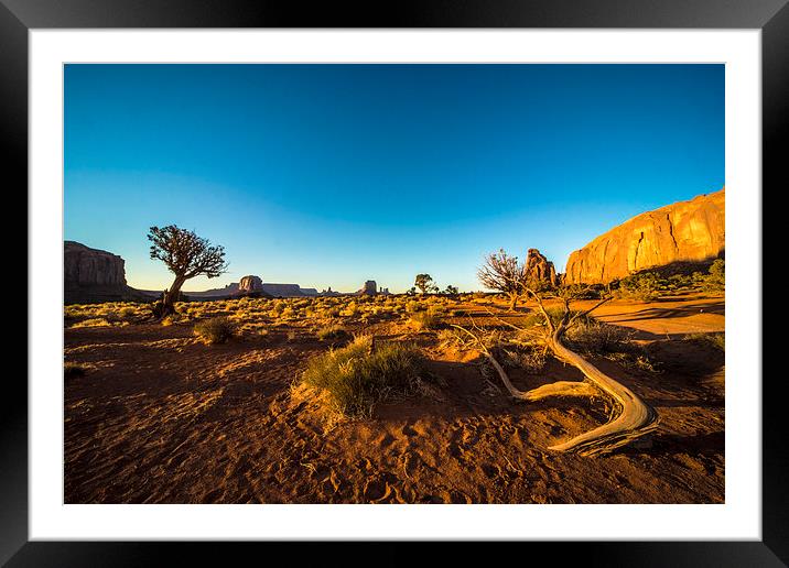 Monument Valley branch Framed Mounted Print by Rob Hawkins