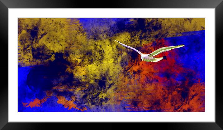 Painted bird Framed Mounted Print by Rod Ohlsson
