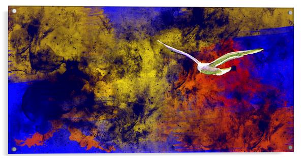 Painted bird Acrylic by Rod Ohlsson