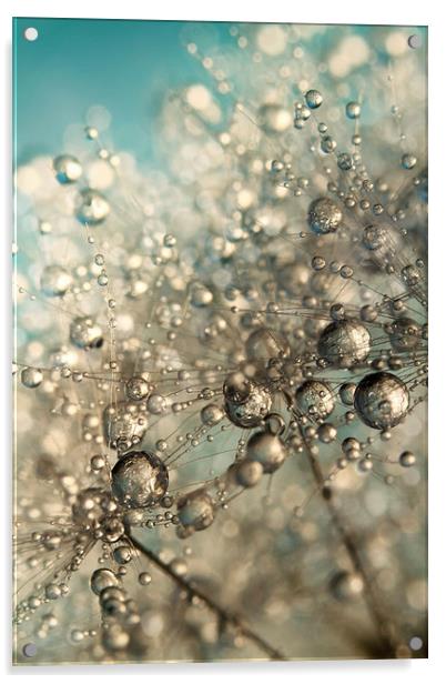 Metal Blue Dandy Sparkles Acrylic by Sharon Johnstone